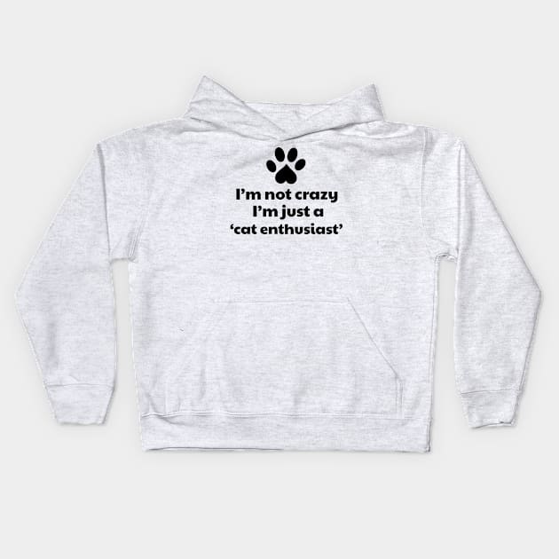 I'm not a crazy, I'm a cat enthusiast Kids Hoodie by vanityvibes